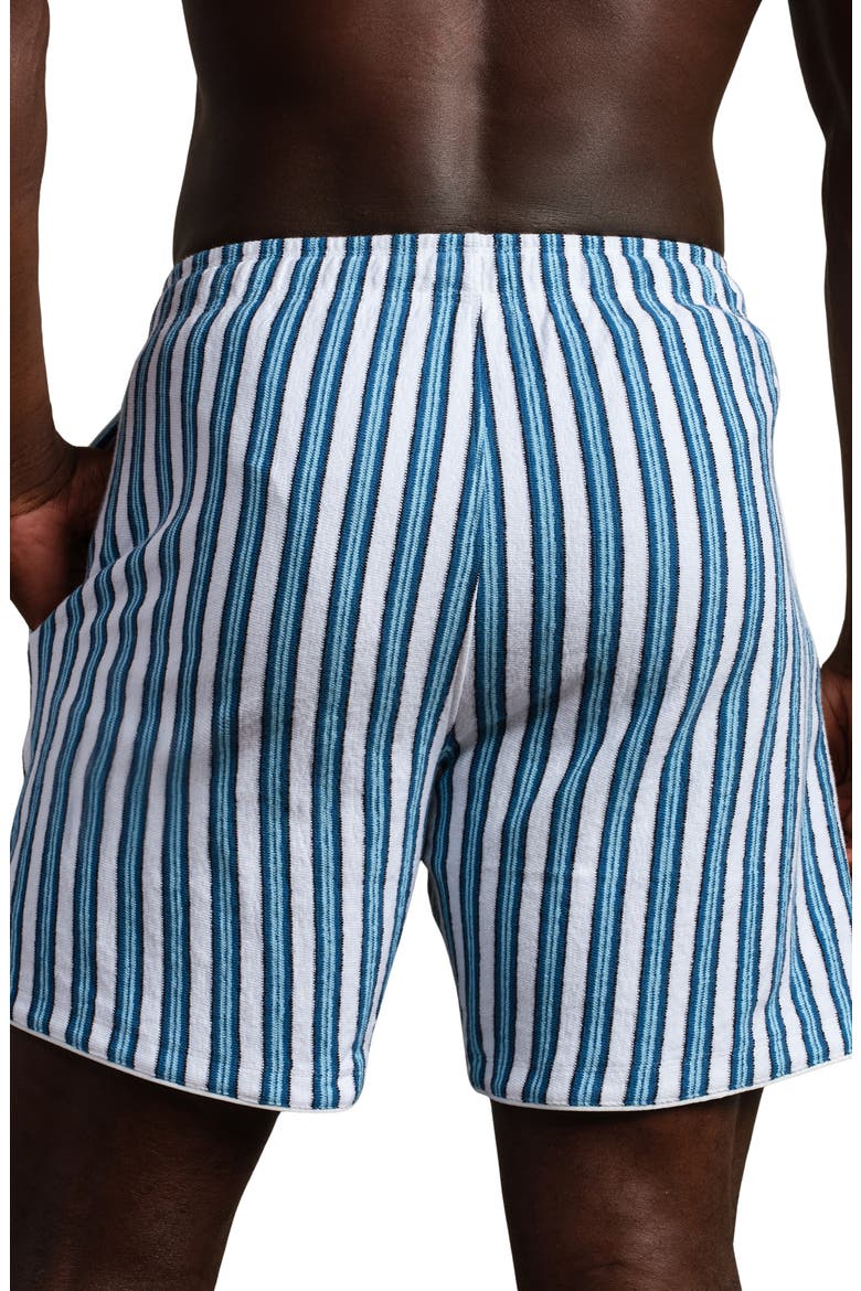 Seaside Terry Shorts, Alternate, color, ASH BLUE VINTAGE STRIPE