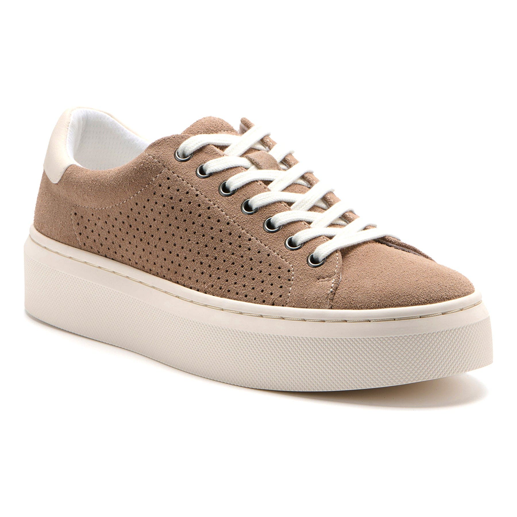  Taupe Perforated