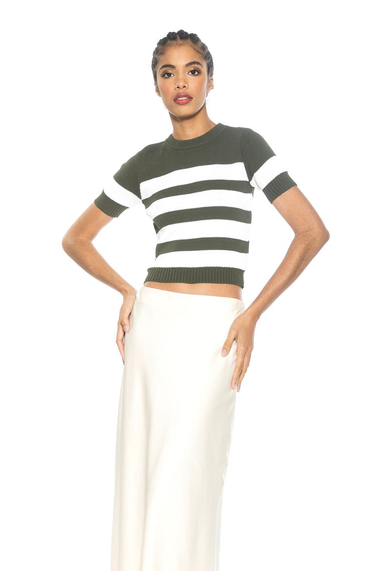 Pat Stripe Short Sleeve Sweater Top, Alternate, color, SAGE
