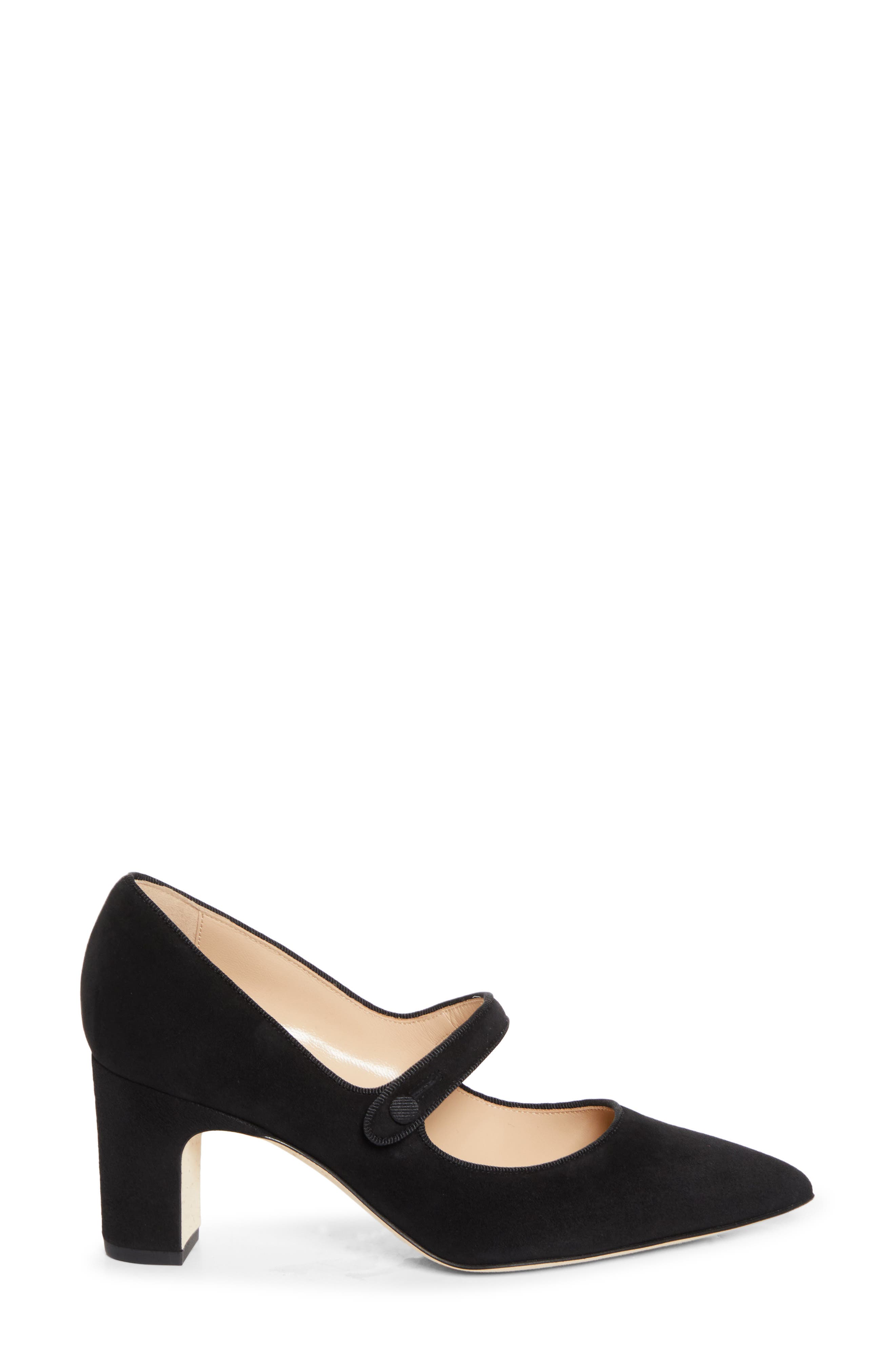 Manolo Blahnik Campariba Pointed Toe Mary Jane Pump, Alternate, color, Black