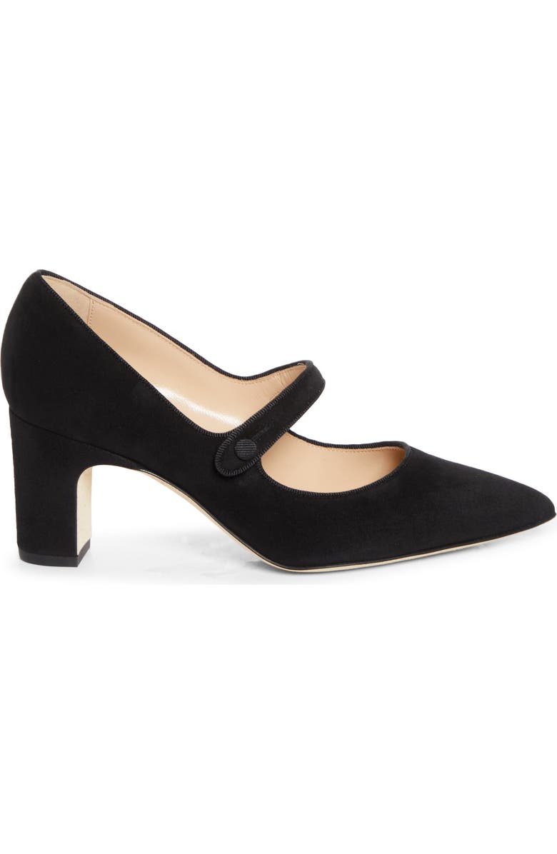 Manolo Blahnik Campariba Pointed Toe Mary Jane Pump, Alternate, color, Black