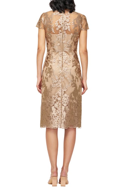 Js Collections Aviva Floral Embroidery Cocktail Midi Dress In Almond Buff