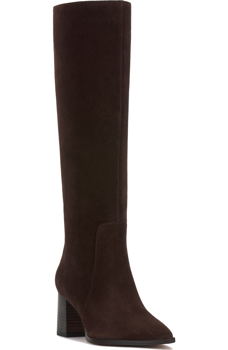 Vince Camuto Lumina Pointed Toe Boot, Main, color, Brownie Verona