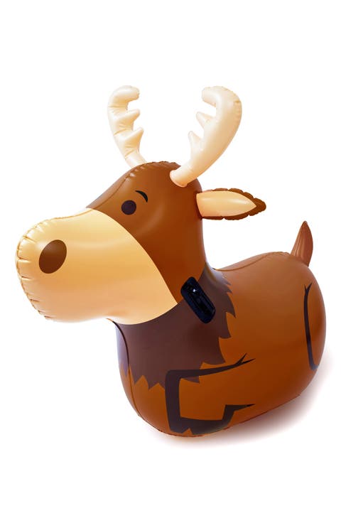 Animal Air Hopper Toy