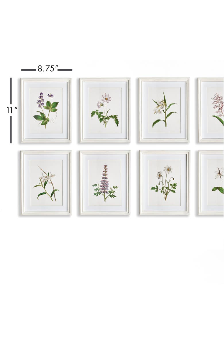 Napa Home & Garden Flowers In Bloom Petite Prints Set of 8, Alternate, color, Green