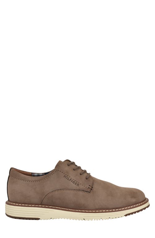 Tommy Hilfiger Hiday Derby In Tau01 - Taupe