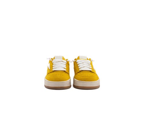 P448 Brixton Sneaker In Yellow