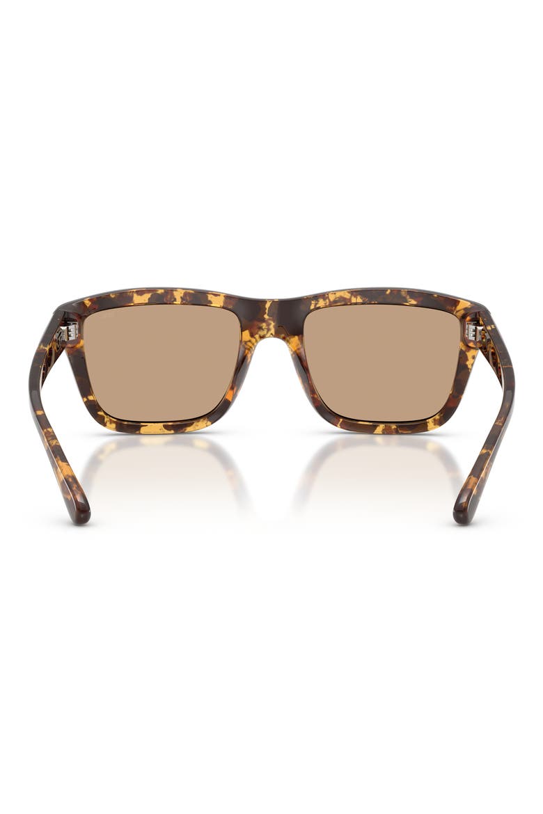 55mm Gradient Square Sunglasses, Alternate, color, HAVANA/ SOLID BROWN