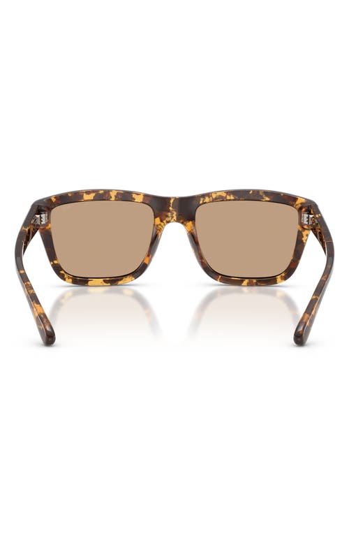 Diesel ® 55mm Gradient Square Sunglasses In Havana/solid Brown