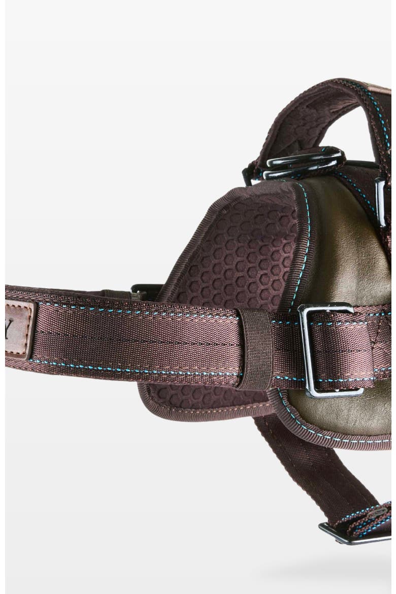 Signature Leather Dog Harness, Alternate, color, Medium Green