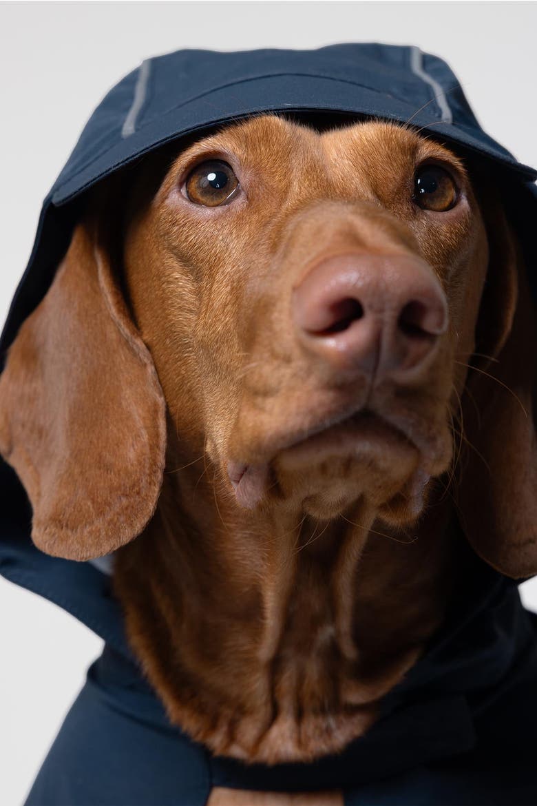 Trail Hound Rain Vest, Alternate, color, Navy