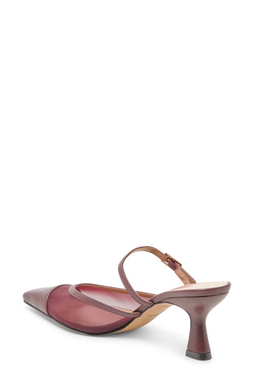 Dolce Vita Loyd Pointed Toe Pump In Burgundy