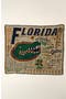 University Of Florida