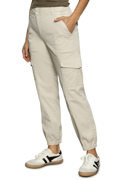 Sanctuary Rebel Wide Leg Standard Rise Crop Pant In Birch In Pumice Stone