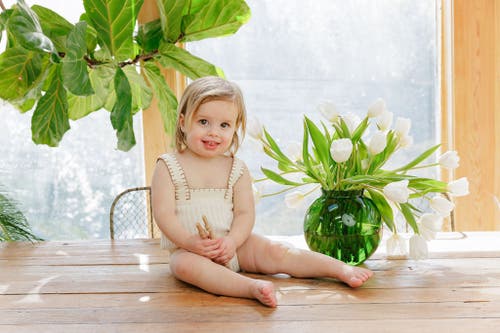 Ely's & Co. Looms Stitch Collection