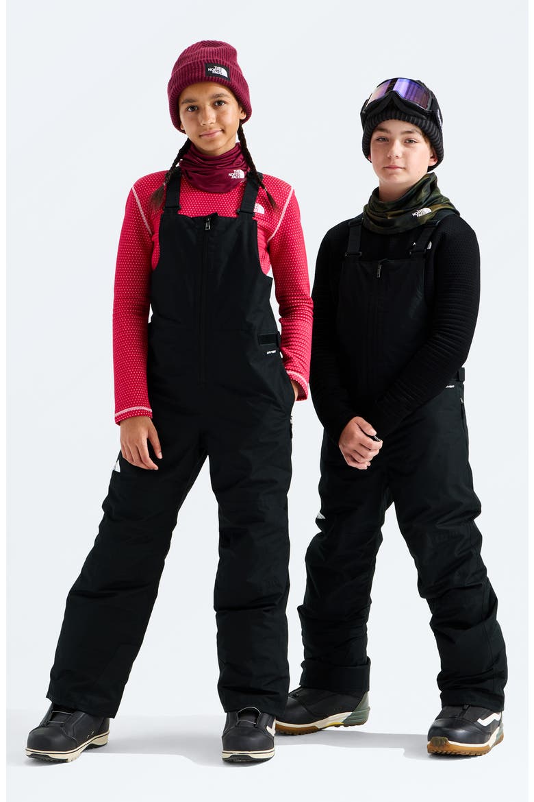 Kids' Freedom Waterproof Insulated Recycled Polyester Snow Bib, Alternate, color, TNF BLACK