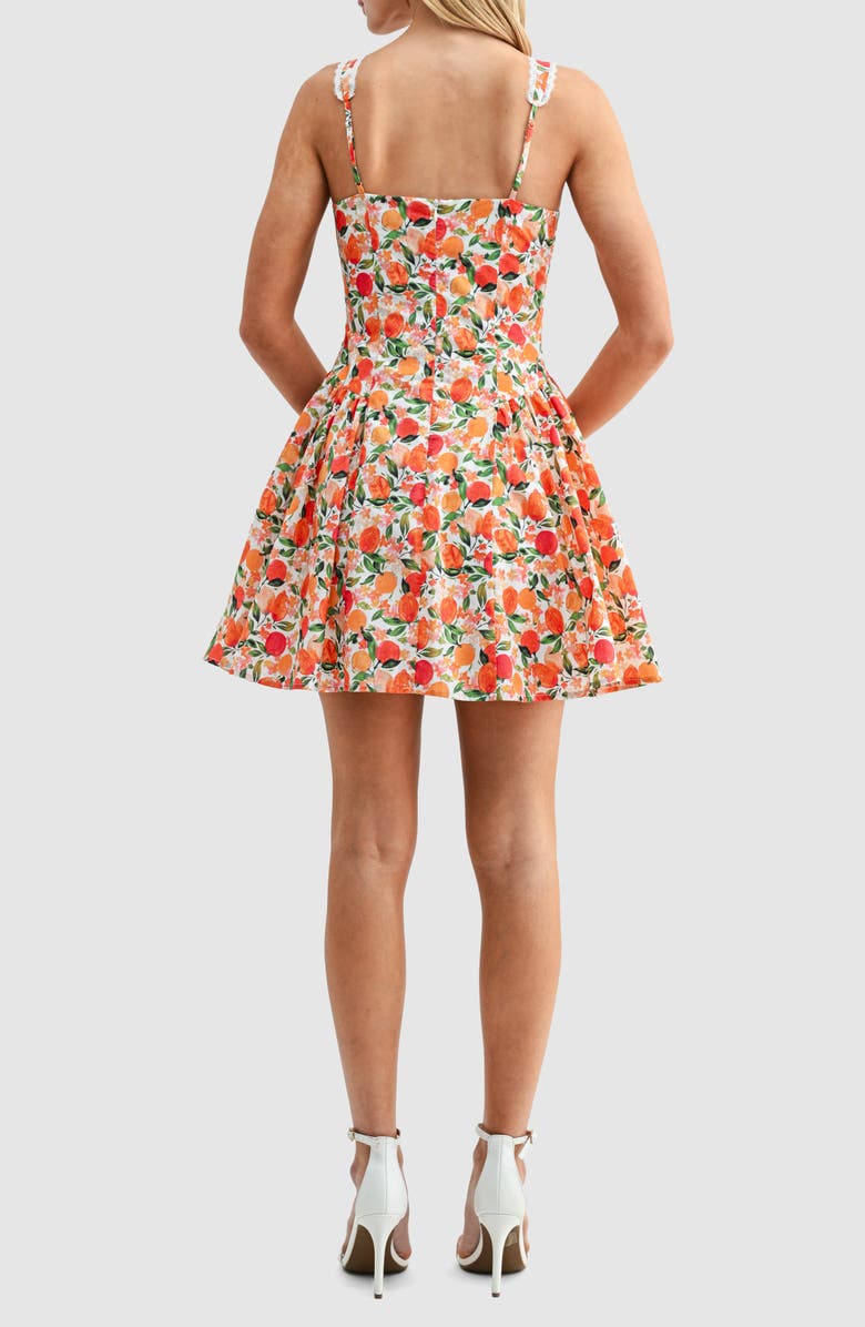 All in Favor Tangerine Print Lace Detail Fit & Flare Cotton Minidress, Alternate, color, Tangerine
