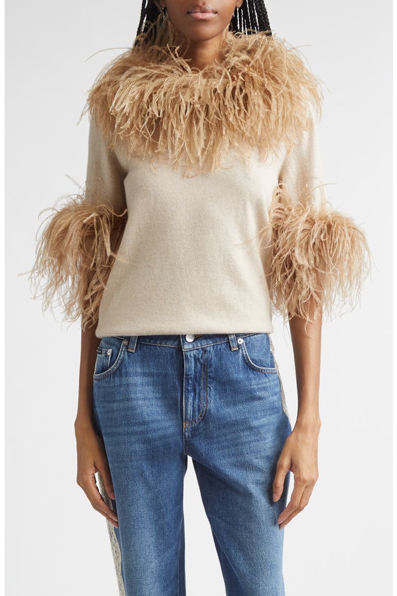 Feather Trim Short Sleeve Cashmere Sweater, Main, color, BEIGE
