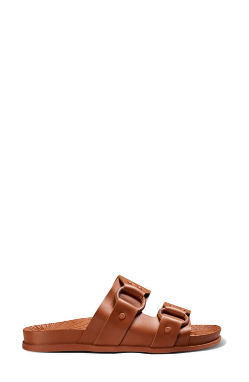 Reef Cushioned Vera Cruz Slide Sandal