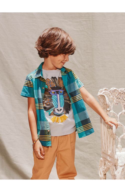 Tea Collection Plaid Button Up Woven Shirt In Amazonian Plaid