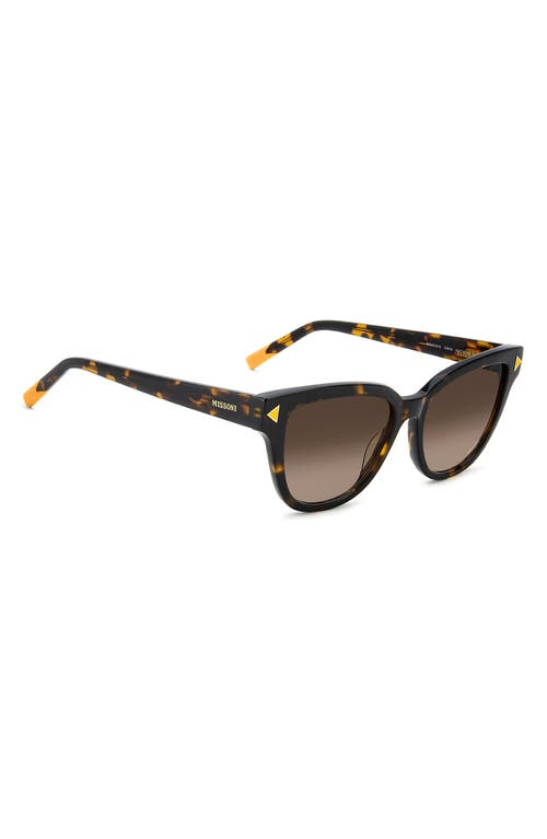 Shop Missoni 53mm Cat Eye Sunglasses In Havana/brown