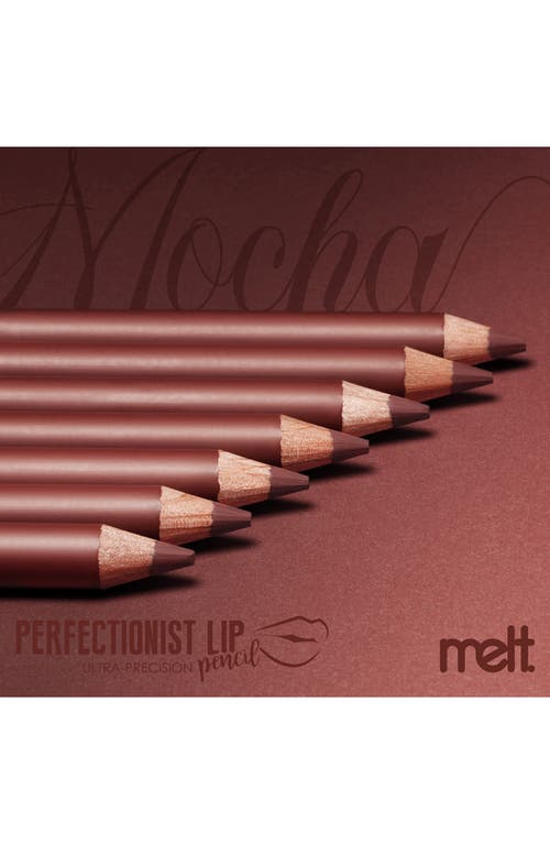 Melt Cosmetics Perfectionist Lip Pencil In Brown