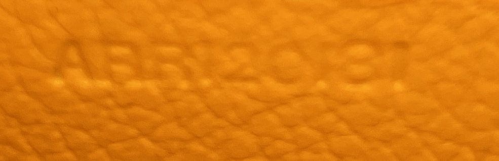 Pre-Owned Goyard Saigon Top Handle Bag Coated Canvas with Leather Mini, Alternate, color, Black