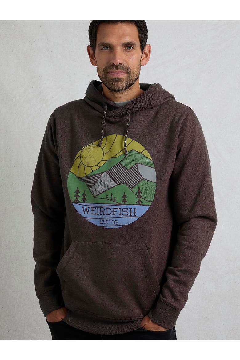 Bryant Graphic Popover Hoodie, Main, color, Mulled Wine