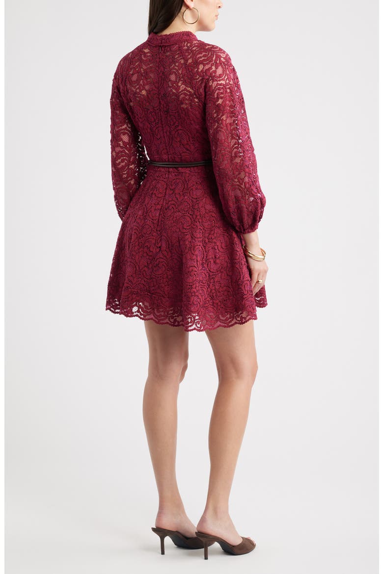 Lace Long Sleeve Minidress, Alternate, color, BURGUNDY BEET
