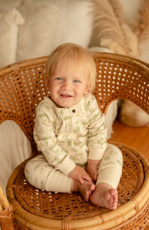 L'ovedbaby Print Organic Cotton Romper In Stone Botanica
