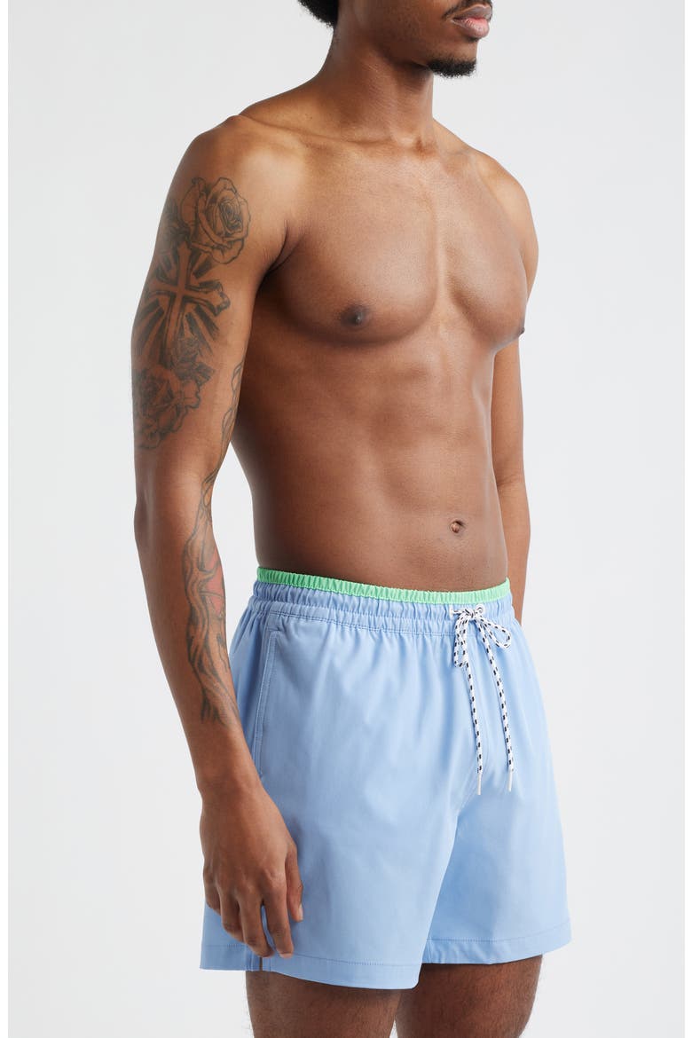 Alpine Skies 5.5-Inch Swim Trunks, Alternate, color, DUSTY BLUE