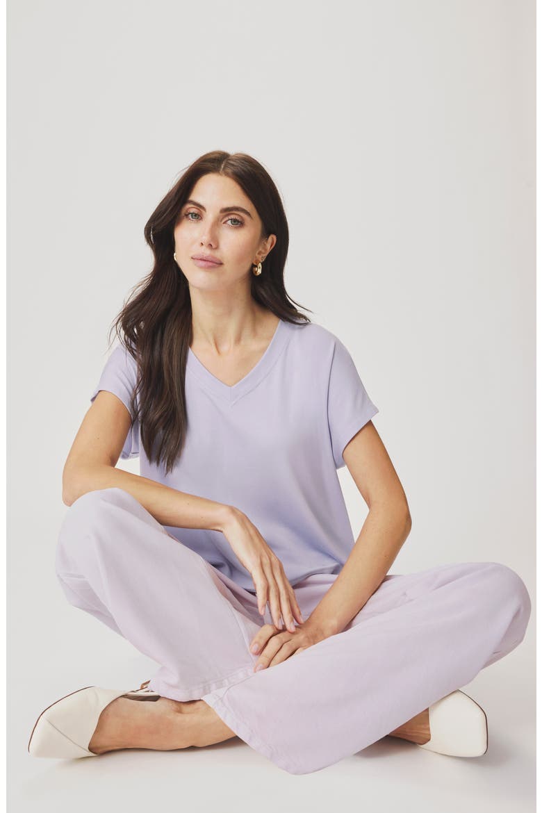 Amaya V-Neck T-Shirt, Alternate, color, LAVENDER