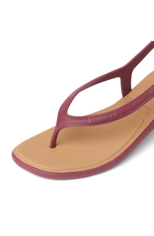 Reef Water Willow Maya Slingback Sandal In Burgundy
