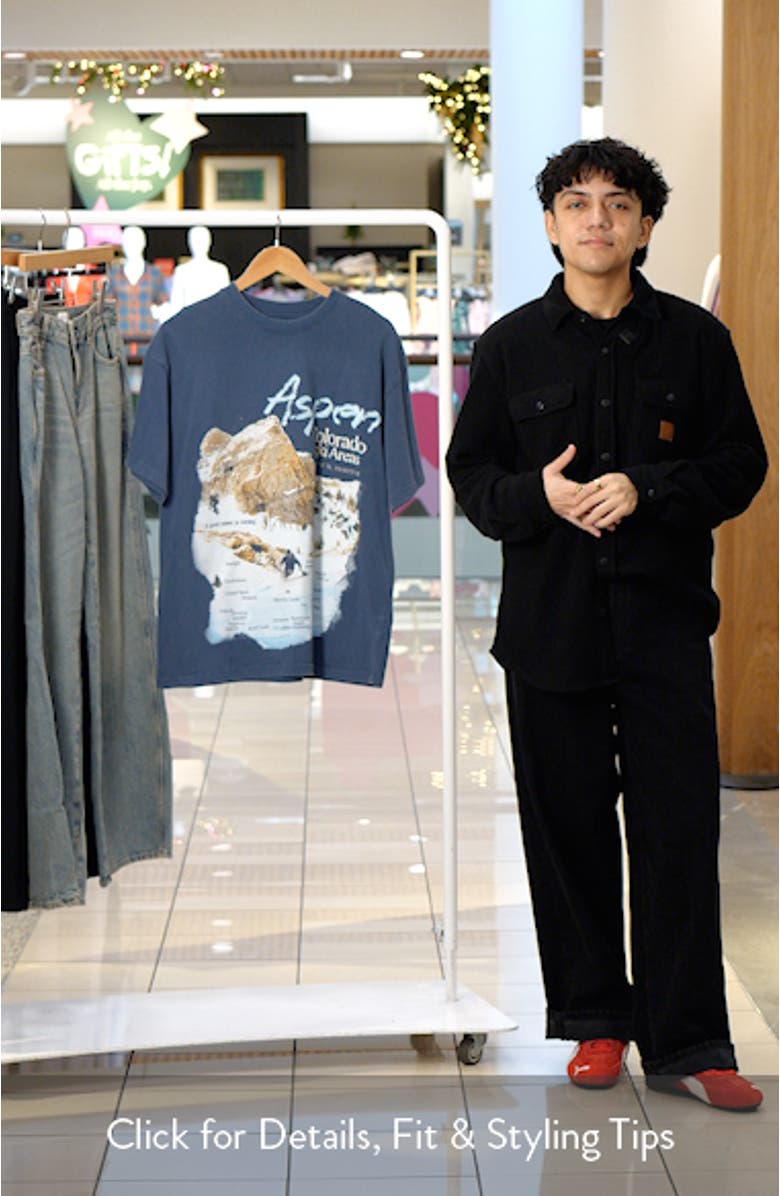 NPL Ski Areas Graphic T-Shirt, sales video thumbnail