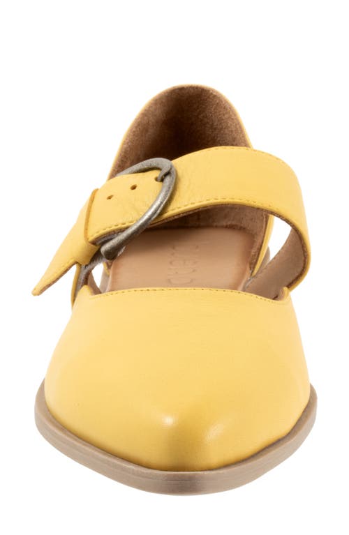 Bueno Brittany Pointed Toe Flat In Yellow