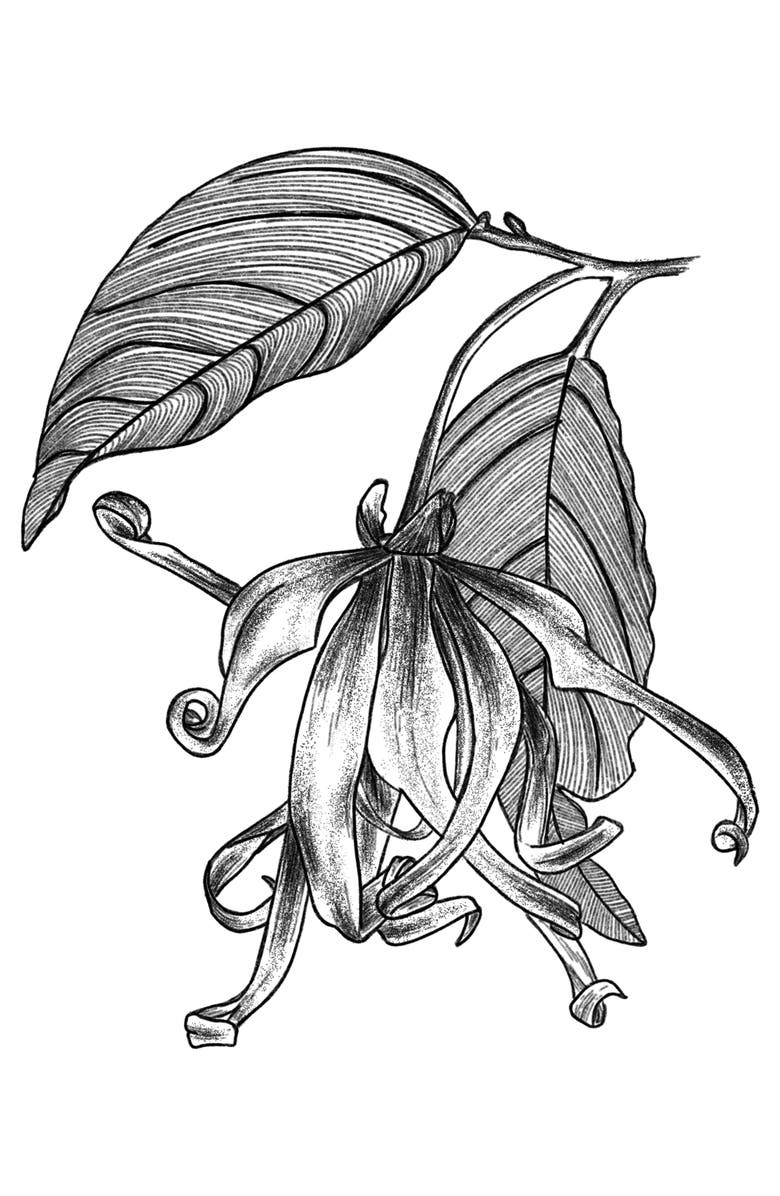 AMOUAGE Blossom Love Eau de Parfum, Alternate, color,