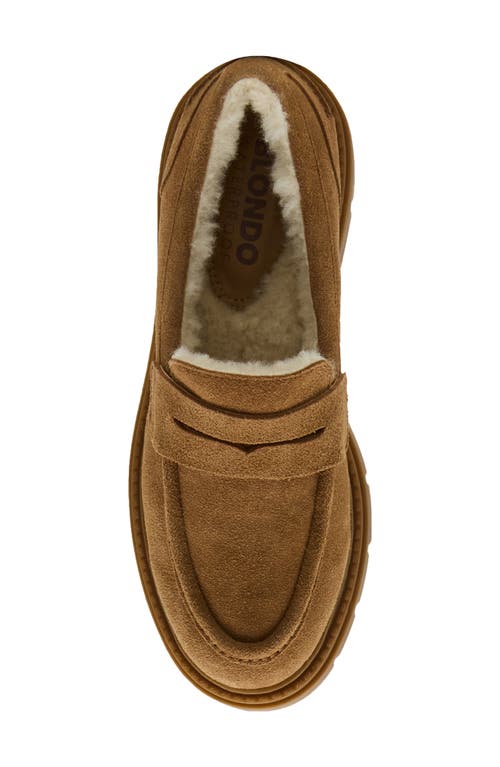 Blondo Kimora Waterproof Platform Penny Loafer In Multi