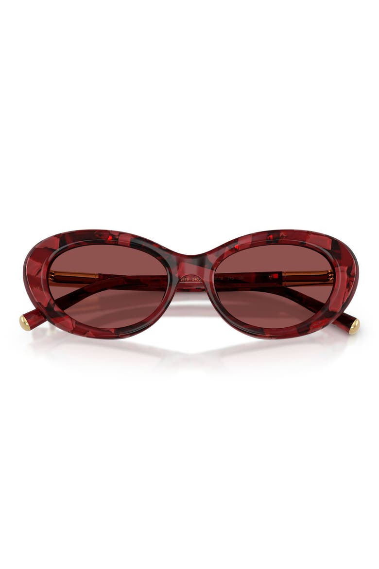 54mm Oval Sunglasses, Alternate, color, PEARL HAVANA RED / DARK VIOLET