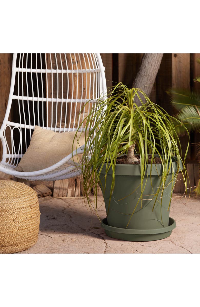 Bloem Terra 17 Inch Resin Saucer, Alternate, color, Green