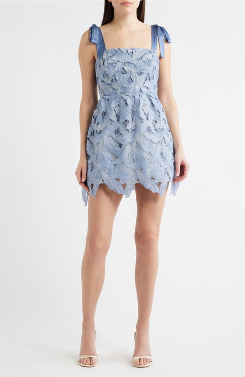 Lucy Paris Micah Lace Minidress In Multi