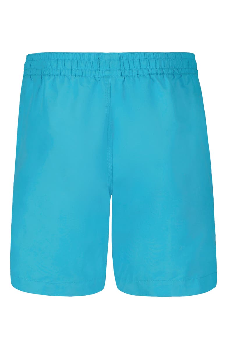 Billabong Kids' All Day Layback Swim Trunks, Alternate, color, Aqua