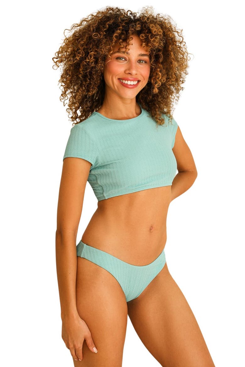 Taylor Cheeky Swim Bikini Bottom, Alternate, color, Surf Rider