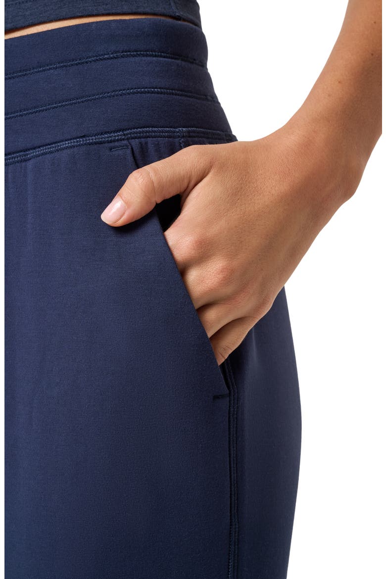 Skyloft Soft Ankle Pants, Alternate, color, NAVY BLAZER