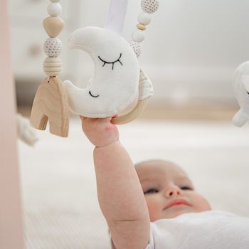 Wooden Baby Play Gym Set