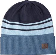 TailorByrd Striped Beanie