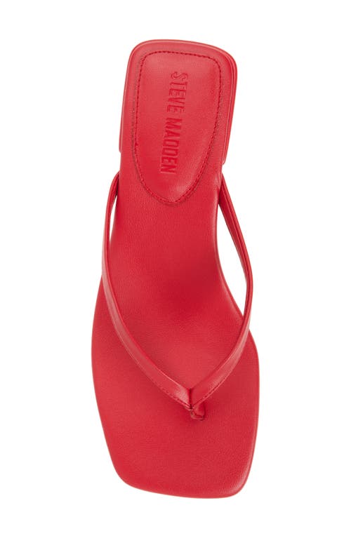 Steve Madden Caribbean Flip Flop In Red