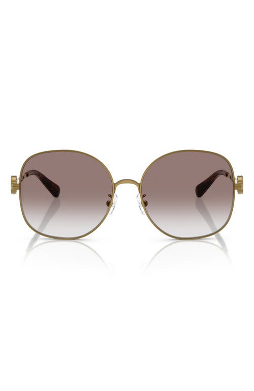 Tory Burch 56mm Gradient Round Sunglasses In Bronze