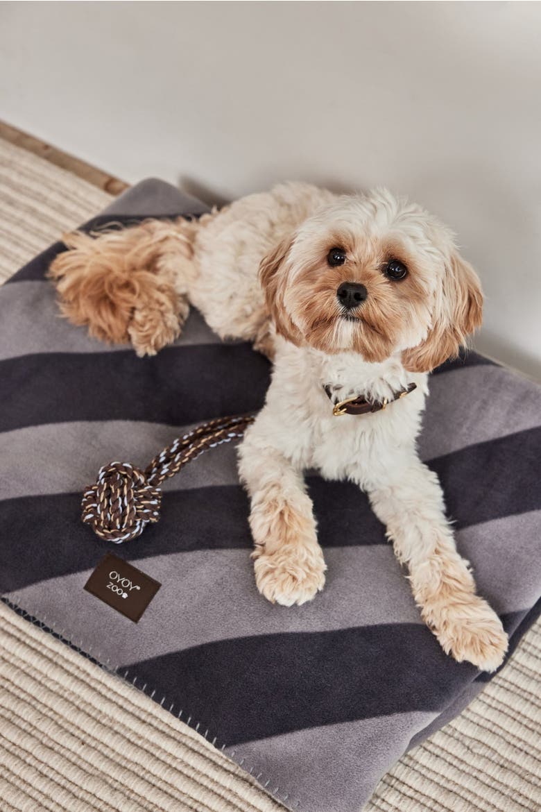 Kaya Dog Blanket, Alternate, color, Black