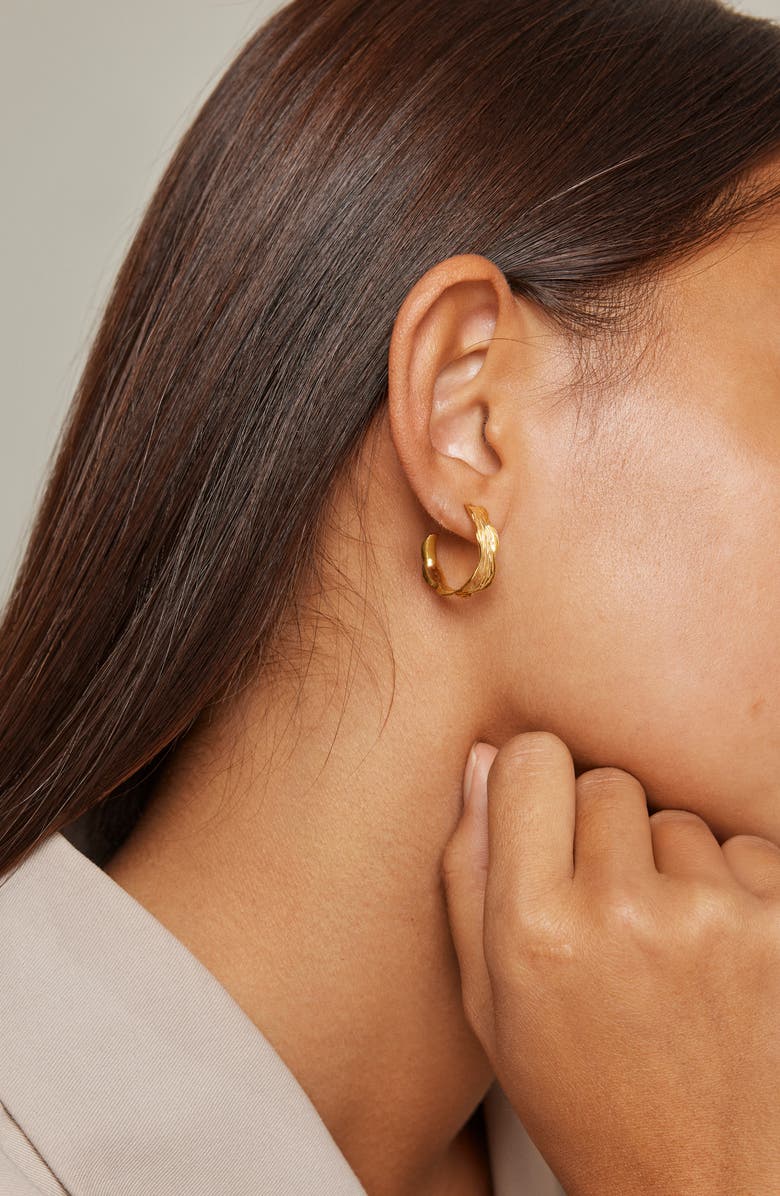 ENAMEL Copenhagen Ane Small Hoops, Alternate, color, Gold