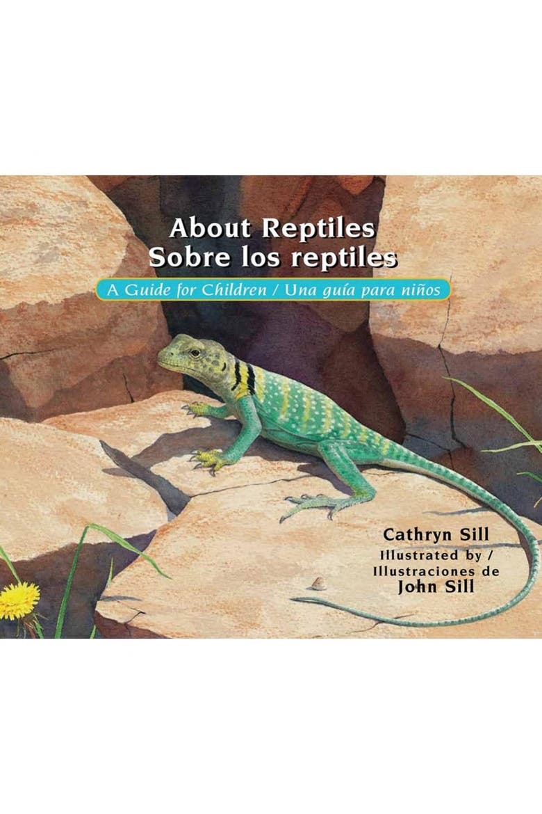 Bilingual Science Books - Set of 4, Alternate, color, Multicolor